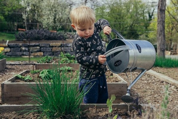 Comment créer un jardin de légumes pour une récolte rapide en milieu urbain?