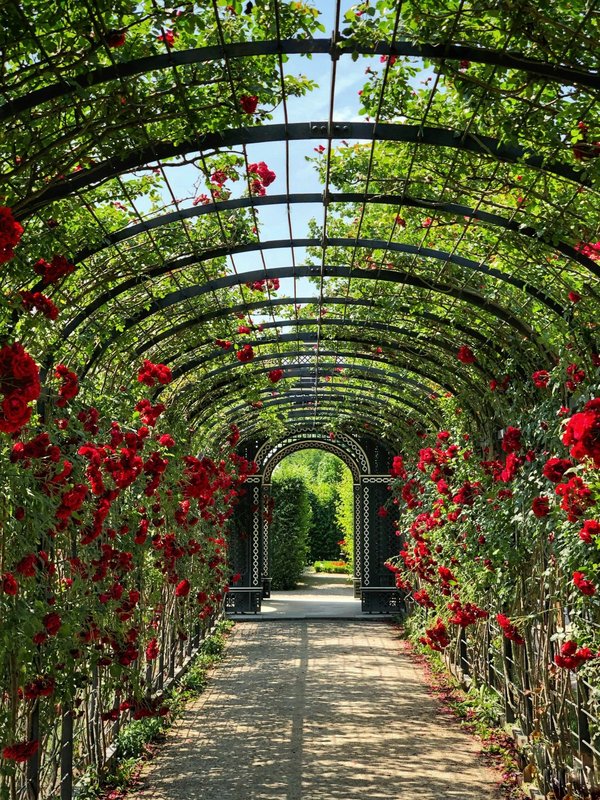 Comment créer un jardin de rocaille dans un espace limité?