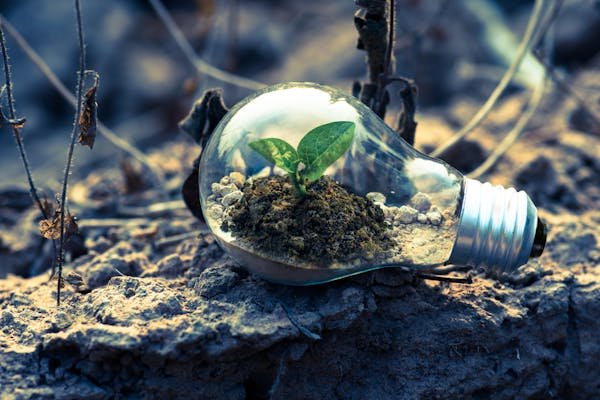 Éco ptz : financez vos rénovations énergétiques sans intérêt