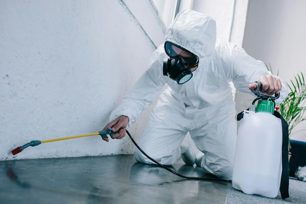Protégez votre maison : choix de services anti-nuisibles auxidys